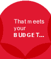 That meets your BUDGET...